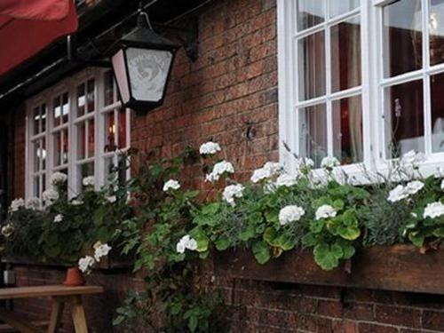 The Bull On The Green Lewes Exterior foto